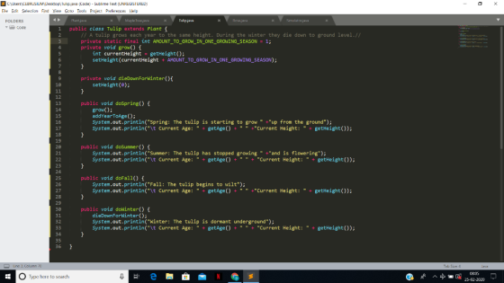 C\Users\CEBRUSIUM\Desktop Tulip.java (Code) - Sublime Text (UNREGISTERED) Eile Edit Selection Find View Goto Tools Project Pr