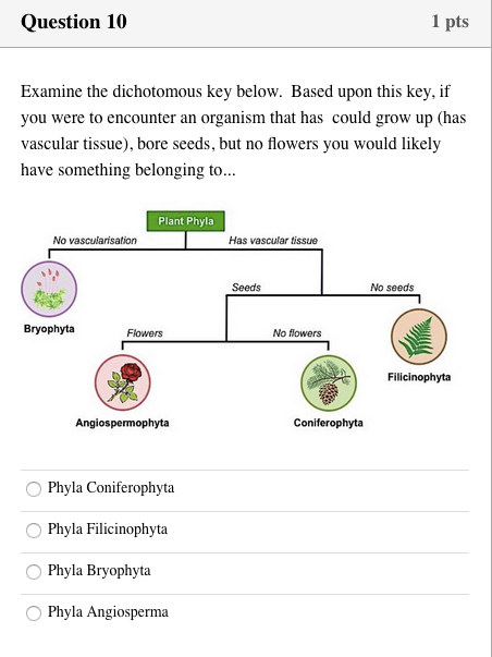 Question 10 1 pts Examine the dichotomous key below. Based upon this key, if you were to encounter an organism that has could