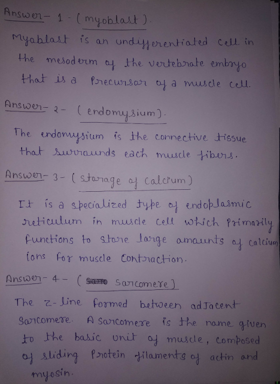 Myabla 1S an ondytherti ated cell in the mesod vrm a4 the vertehnate embayo that is a Prec un30r o a mu.cle cell. he endomuysium is the connective tissue that 3,uttuunds each muscle tibths. Answen- 3- ( It is a speciaized type a endobJaimic reticulum in muicle Cell wich primai Punctions to stane onge amaunts a calin ons for muscle Contnaction The z-Jine formed betweer adJacent Sancomere A sancomexre is the name given よ。the basic onih. od muscle, composed o liding protein Hlamentg o actin and myosih