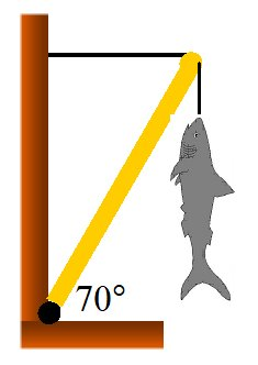 70°
