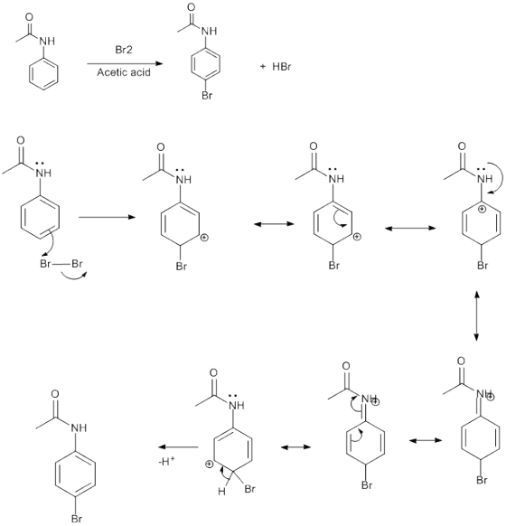 NH NH Br2 Acetic acid + HBr Br NH NH NH NH BrBr NH NH H Br