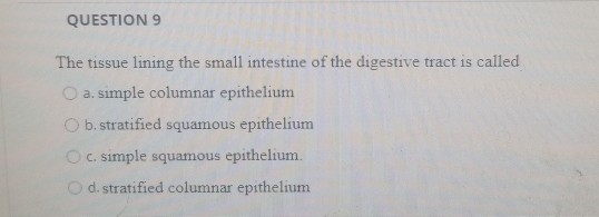 QUESTION 9 The tissue lining the small intestine of the digestive tract is called a simple columnar epithelium b. stratified