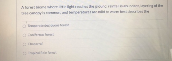 A forest biome where little light reaches the ground, rainfall is abundant, layering of the tree canopy is common, and temper