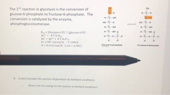 CH H-Ic-H The 2nd reaction in glycolysis is the conversion of glucose-6-phosphate to fructose-6-phosphate. The conversion is