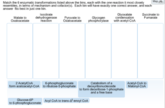 Match the 6 enzymatic transformations listed above the bins, each with the one reaction it most closely Map.. resembles, in t