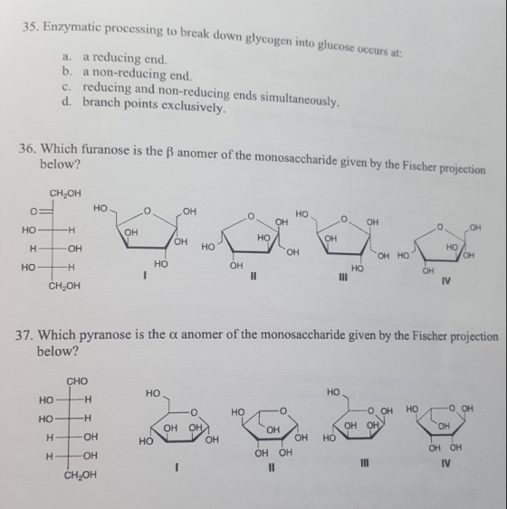 35. Enzymatic processing to break down glycogen into glucose occurs at: a. a reducing end. b. a non-reducing end. c. reducing