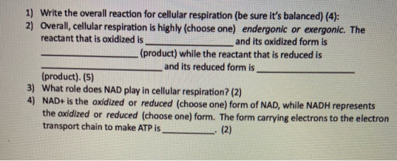 1) Write the overall reaction for cellular respiration (be sure its balanced) (4): 2) Overall, cellular respiration is highl
