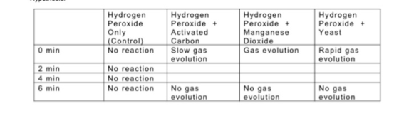 Hydrogen Peroxide Only (Control) No reaction Hydrogen Peroxide + Activated Carbon Slow gas evolution Hydrogen Peroxide + Mang