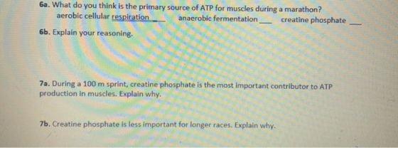 6a. What do you think is the primary source of ATP for muscles during a marathon? aerobic cellular respiration anaerobic ferm