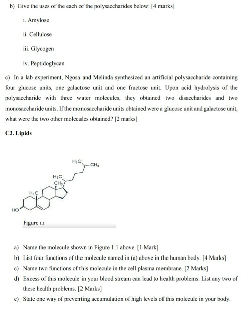 b) Give the uses of the each of the polysaccharides below: [4 marks] i. Amylose ii. Cellulose iii. Glycogen iv. Peptidoglycan