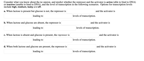 Consider what you know about the lac operon, and predict whether the repressor and the activator is active (able to bind to D