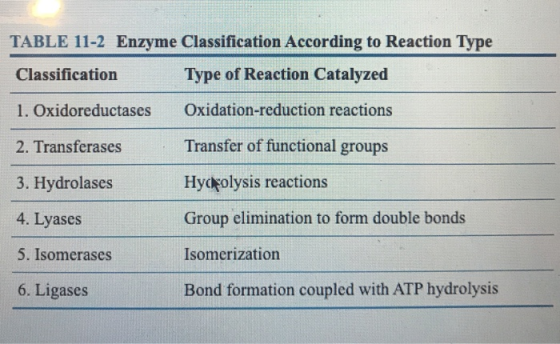 TABLE 11-2 Enzyme Classification According to Reaction Type Classification Type of Reaction Catalyzed 1. Oxidoreductases Oxid