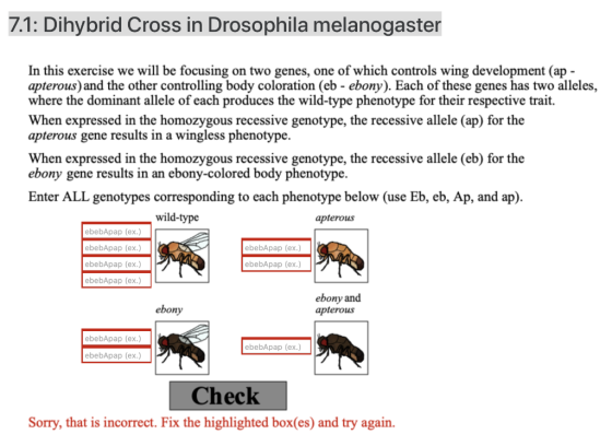 7.1: Dihybrid Cross in Drosophila melanogaster In this exercise we will be focusing on two genes, one of which controls wing