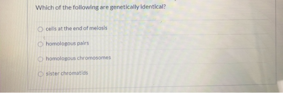 Which of the following are genetically identical? Ocells at the end of meiosis O homologous pairs homologous chromosomes sist