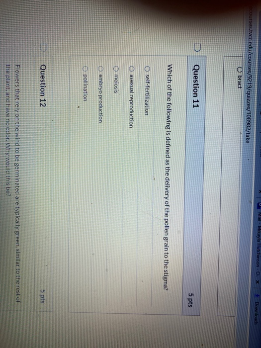 Mail - Mikayla Hutchinson - OLX Downloads courses.tvcc.edu/courses/9219/quizzes/108982/take Obract Question 11 5 pts Which of