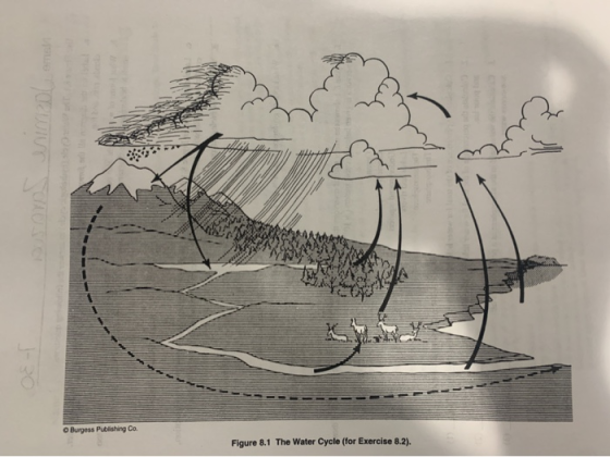 O Burgess Publishing Co. Figure 8.1 The Water Cycle (for Exercise 8.2).