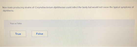 Non-toxin-producing strains of Corynebacterium diphtheriae could infect the body but would not cause the typical symptoms of