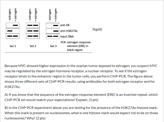 estrogen + estrogen estrogen + estrogen estrogen + estrogen (fig68) anti-ER anti-H3K27AC Input DNA PCR: estrogen response ele