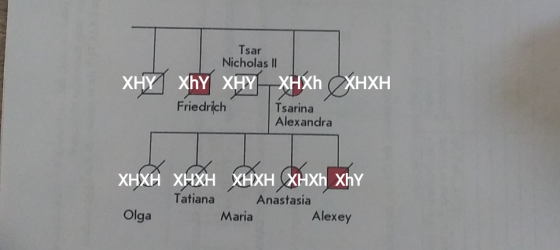 Tsar Nicholas II XHY XhΥ XHY - XHXh XHXH Friedrich Tsarina Alexandra XHXH XHXH XHXH XHXH XHY Tatiana Maria Anastasia Olga Ale