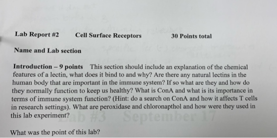 Lab Report #2 Cell Surface Receptors 30 Points total Name and Lab section Introduction - 9 points This section should include
