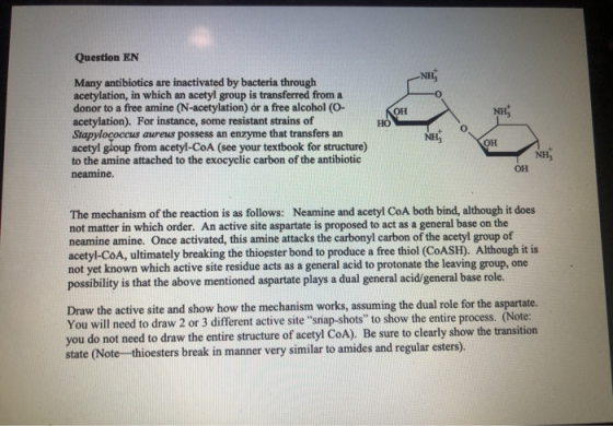 Question EN NHL Many antibiotics are inactivated by bacteria through acetylation, in which an acetyl group is transferred fro