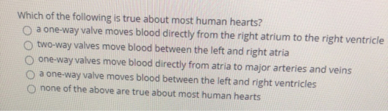 Which of the following is true about most human hearts? O a one-way valve moves blood directly from the right atrium to the r