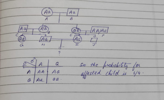 LAGI @@ @__ AA/Aal 1 M A a AAA AA a aa aa So the affected probability for child is 1/4 . aa.