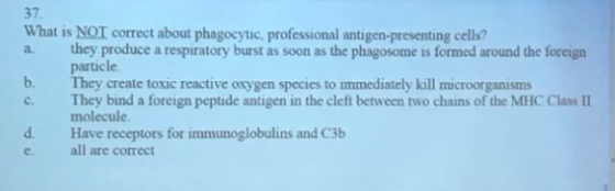 37. What is NOT correct about phagocytic, professional antigen-presenting cells? a. they produce a respiratory burst as soon as the phagosome is formed around the foreign particle b. They create toxic reactive oxygen species to immediately kill microorganisms c. They bind a foreign peptide antigen in the cleft between two chains of the MHC Class II d. e. molecule Have receptors for immunoglobulins and C3b all are correct
