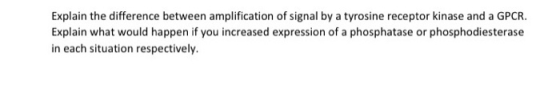 Explain the difference between amplification of signal by a tyrosine receptor kinase and a GPCR. Explain what would happen if