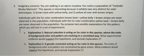2. Imaginary scenario: You are walking in an alpine meadow. You notice a population of Icelandic Musky Marmots. This specie