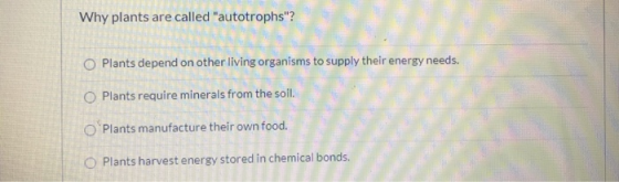 Why plants are called autotrophs? O Plants depend on other living organisms to supply their energy needs. Plants require mi