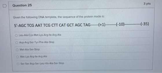 Question 25 3 pts Given the following DNA template, the sequence of the protein made is: 5-AGC TCG AAT TCG CTT CAT GCT AGC T