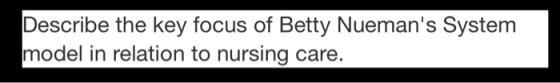 Describe the key focus of Betty Nuemans System model in relation to nursing care.