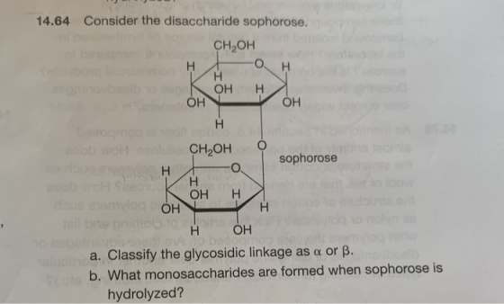 14.64 Consider the disaccharide sophorose. CH2OH H H H OH H OH ОН H Ob WHICH OH sophorose H O WOH SEK H OH H temvlog OH H all
