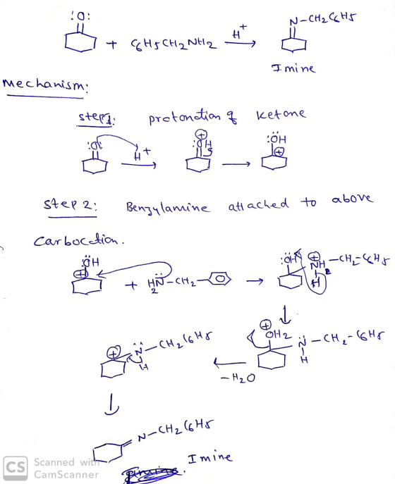 1. N-CH₂C6H5 Öt que engele is mechanism + 6 HJ CH 2NH2 - I mine mechanism: ste - protonation q ketone Step 2: - Benzylamine t