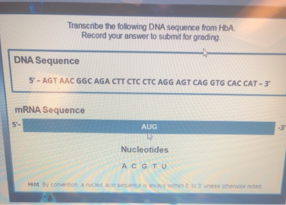 Transcribe the following DNA sequence from HbA. Record your answer to submit for grading DNA Sequence 5- AGT AAC GGC AGA CTT