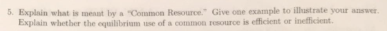5. Explain what is meant by a Common Resource. Give one example to illustrate your answer. Explain whether the equilibrium use of a common resource is eficient or inefficient.