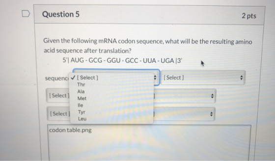 Question 5 2 pts Given the following mRNA codon sequence, what will be the resulting amino acid sequence after translation? 5
