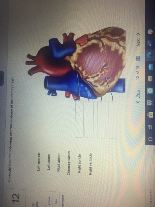 Correctly label the following external anatomy of the anterior heart 16 oints Left ventricle eBook Left atrium Print Right at