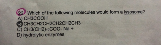 22. Which of the following molecules would form a lysosome? А) CH3COOH CH3CH2CH2CH2CH2CH3 C) CH3(CH2) 10COO- Na + D) hydrolyt