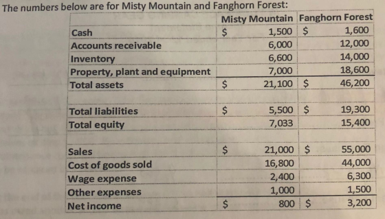The numbers below are for Misty Mountain and Fanghorn Forest: Misty Mountain Fanghorn Forest 1,500 S 1,600 Cash Accounts receivable Inventory Property, plant and equipment Total assets 6,000 6,600 7,000 12,000 14,000 18,600 46,200 21,100 S Total liabilities Total equity 5,500 19,300 15,400 7,033 Sales Cost of goods sold Wage expense Other expenses Net income 21,000 55,000 44,000 6,300 1,500 3,200 16,800 2,400 1,000 800 $
