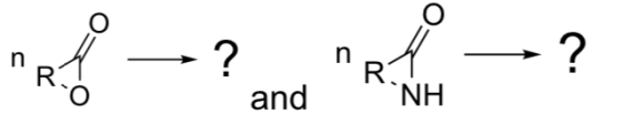 noi ? ned and NH ?
