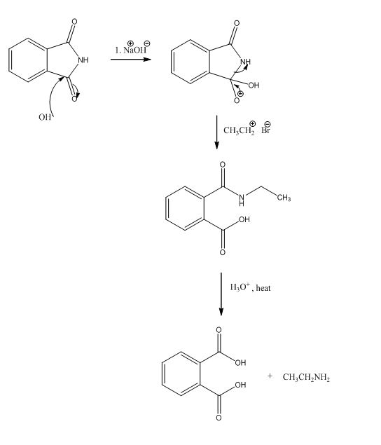 1. NaOH NH он OH CH3CH: Br 0 он IH,ot, heat он + CH,CH NH2 он