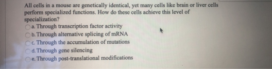 All cells in a mouse are genetically identical, yet many cells like brain or liver cells perform specialized functions. How d