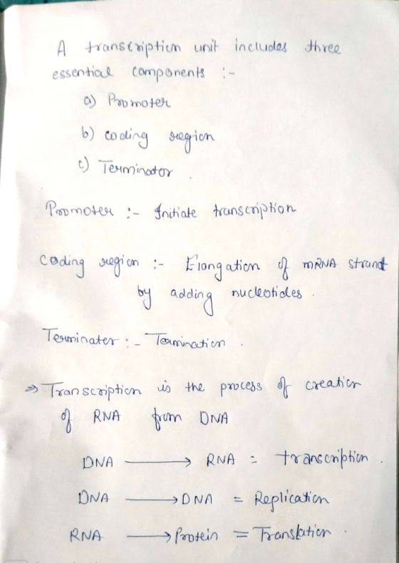 includes three A transcription unit essential components :- a) Promoter 6) coding region c) Terminator Promoter : Initiate tr