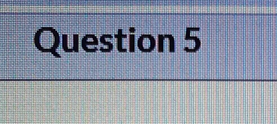 Question 5