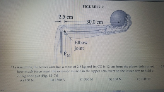 FIGURE 12-7 2.5 cm 30.0 cm Elbow joint 21) Assuming the lower arm has a mass of 2.8 kg and its CG is 12 cm from the elbow-joi