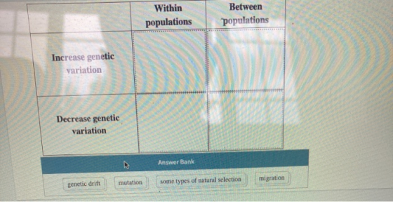 Within populations Between populations Increase genetic variation Decrease genetic variation Answer Bank migration genetic dr