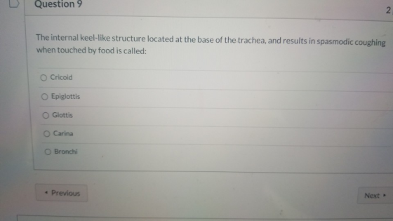 Question 9 2 The internal keel-like structure located at the base of the trachea, and results in spasmodic coughing when touc