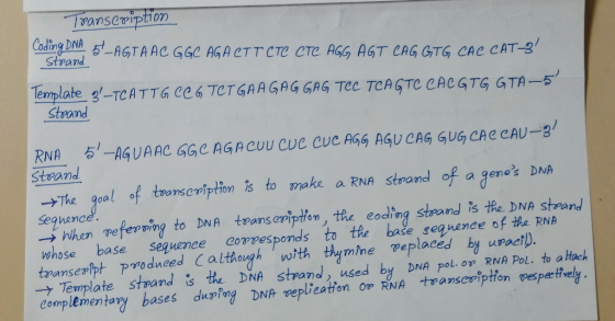 seviption Coastra, 5+-AGTA Ae GGC AGA CTTCTC CTC AGG AGT CAG GTG CAC CAT-9/ Temmlate 3-TCATTG eGTCTGAAGAG GAG TeC TCAGTC CACG